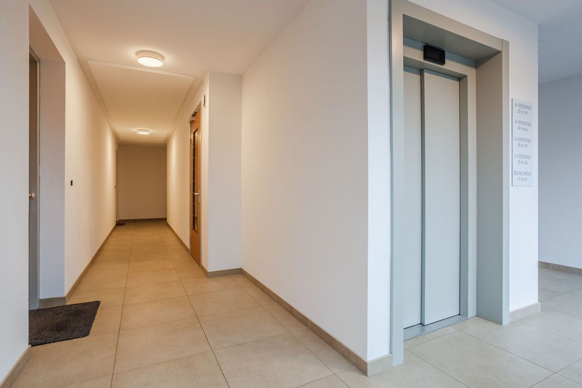 Jonkheer 49 Photo Blur 8