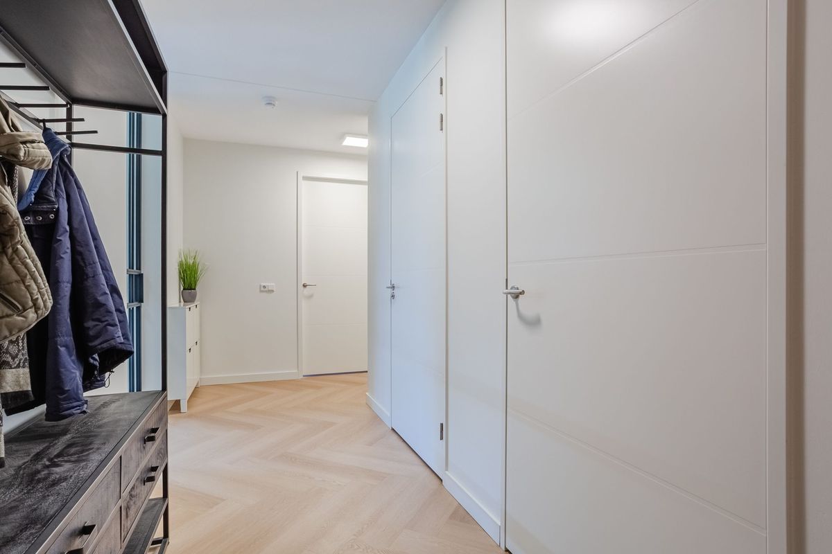 Jonkheer 49 Photo Blur 11