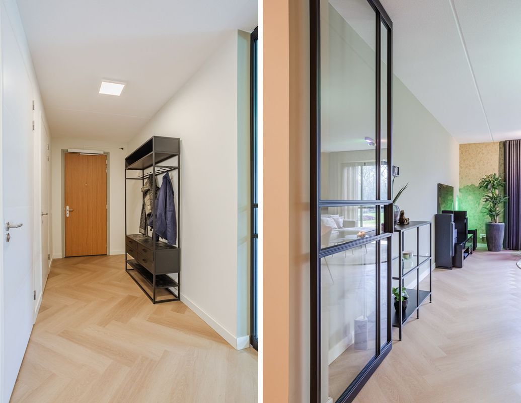 Jonkheer 49 Photo Blur 15