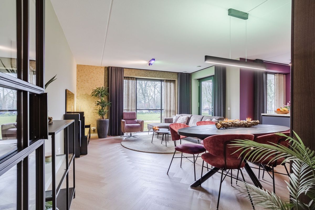 Jonkheer 49 Photo Blur 16