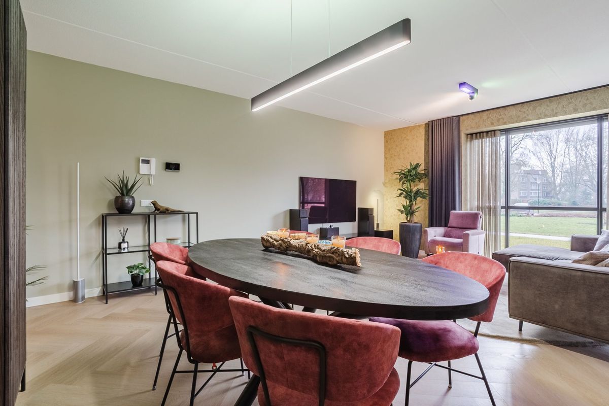 Jonkheer 49 Photo Blur 22