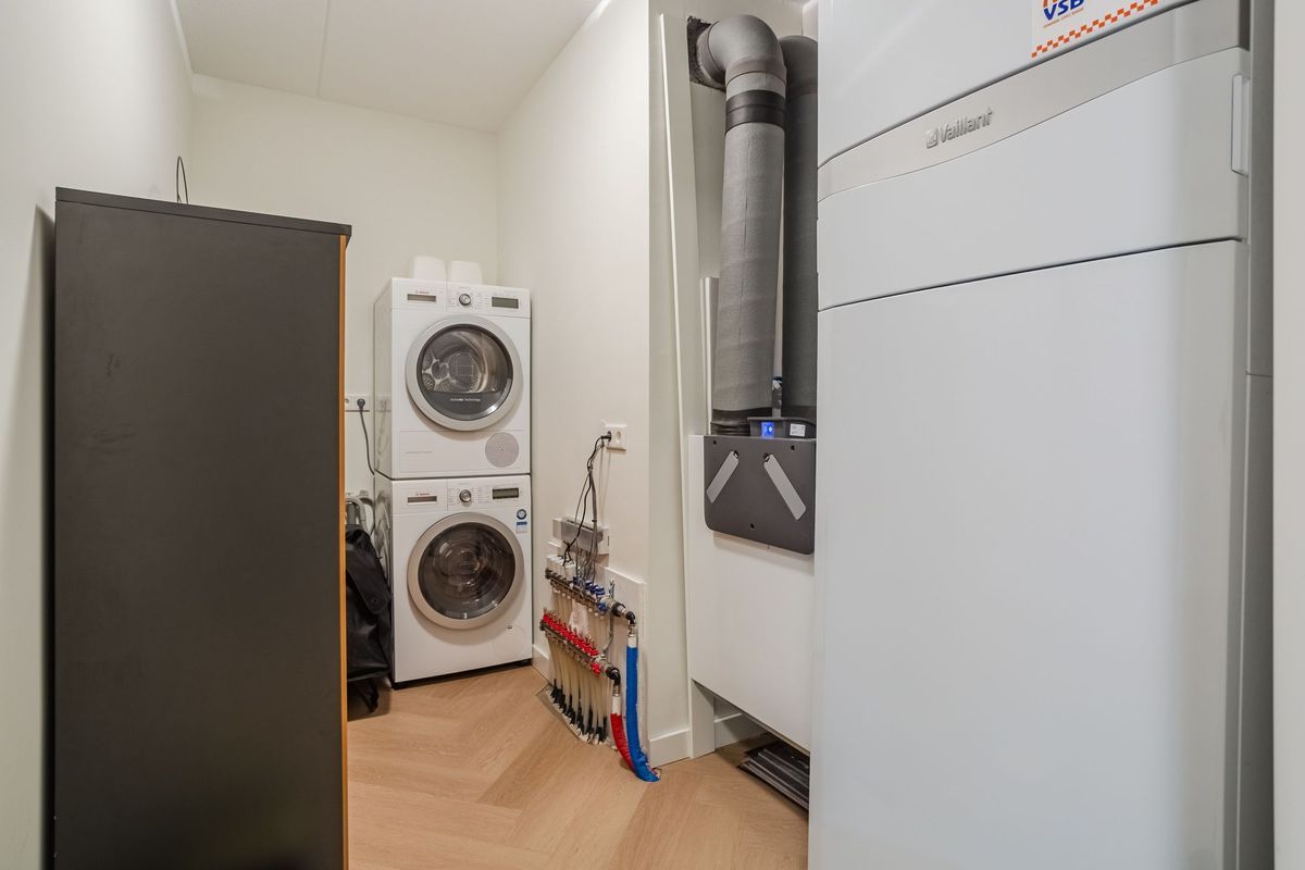 Jonkheer 49 Photo Blur 47