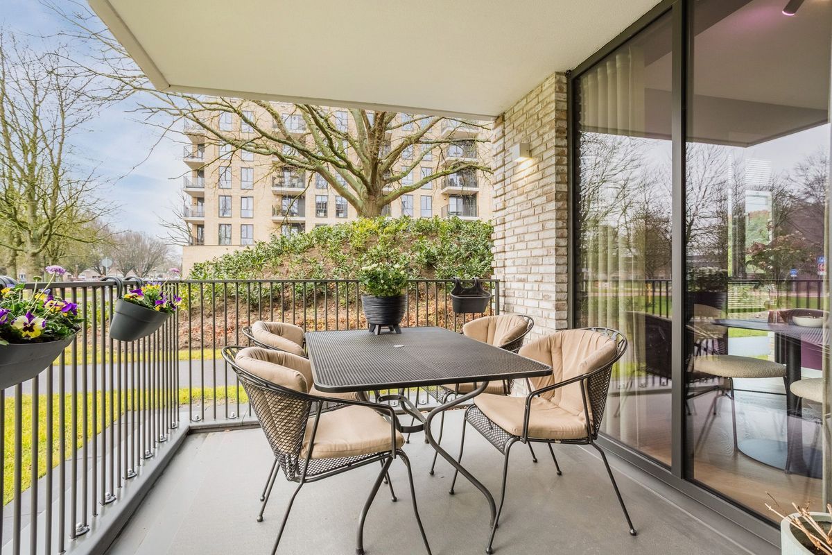 Jonkheer 49 Photo Blur 48