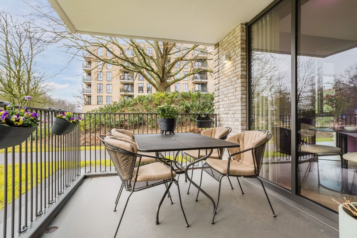 Jonkheer 49 Photo Blur 49