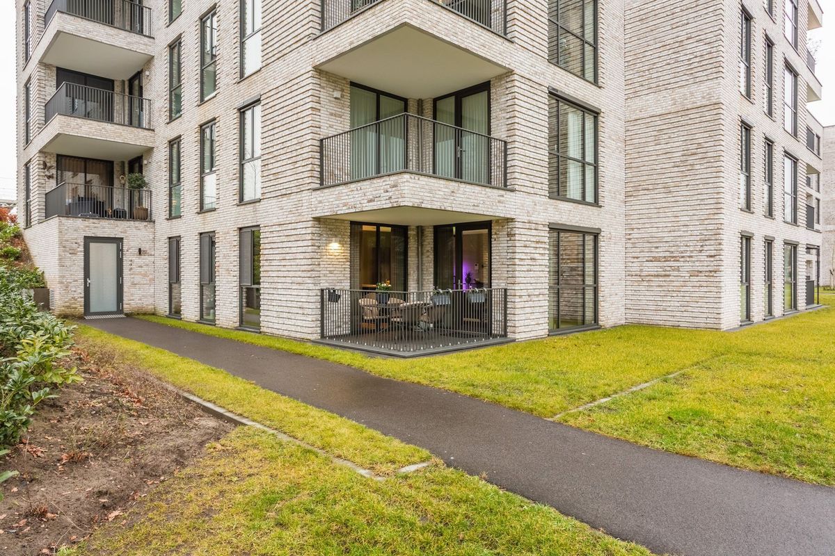 Jonkheer 49 Photo Blur 53