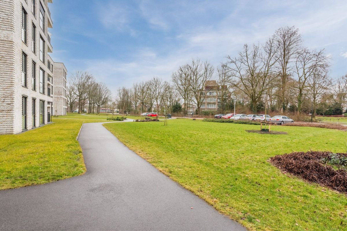 Jonkheer 49 Photo Blur 52