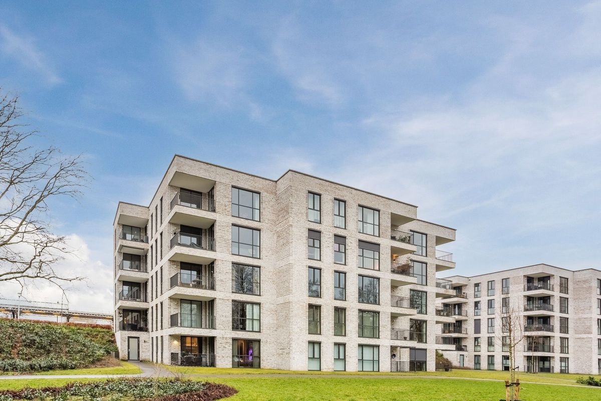 Jonkheer 49 Photo Blur 55