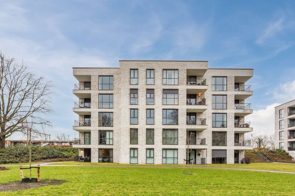 Jonkheer 49 Photo Blur 0