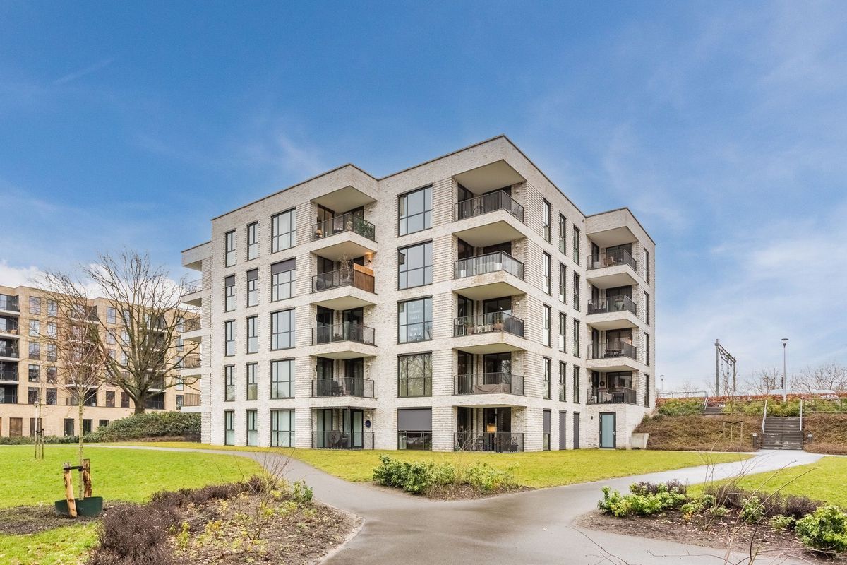 Jonkheer 49 Photo Blur 56