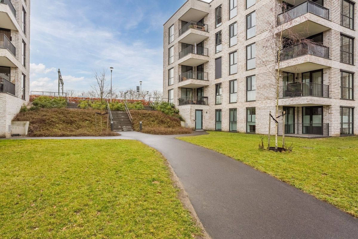 Jonkheer 49 Photo Blur 57