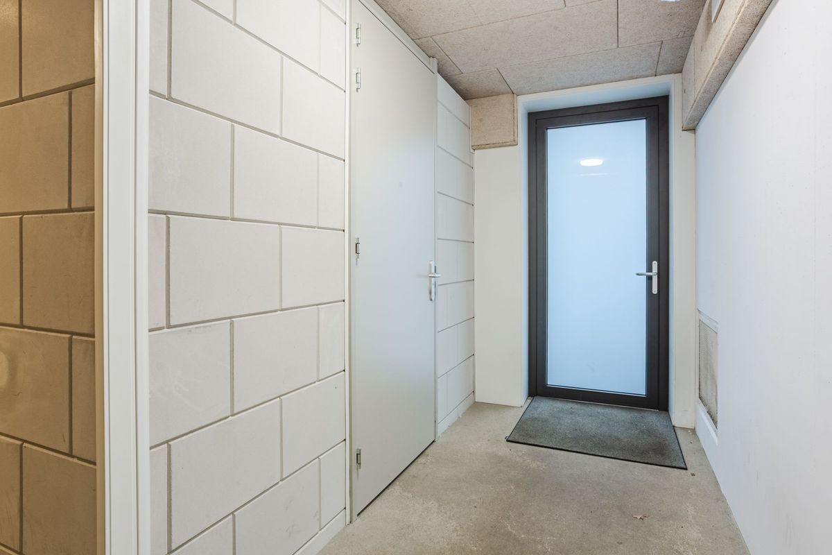 Jonkheer 49 Photo Blur 51