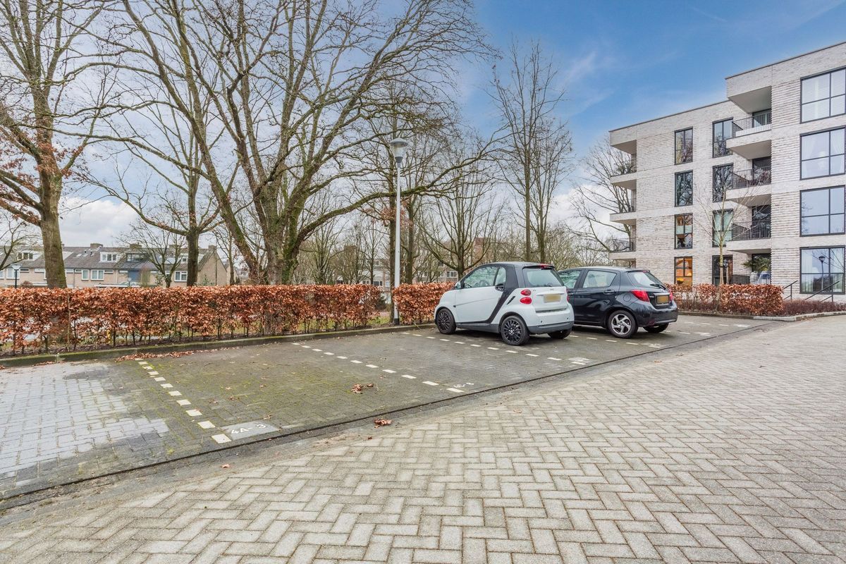 Jonkheer 49 Photo Blur 61