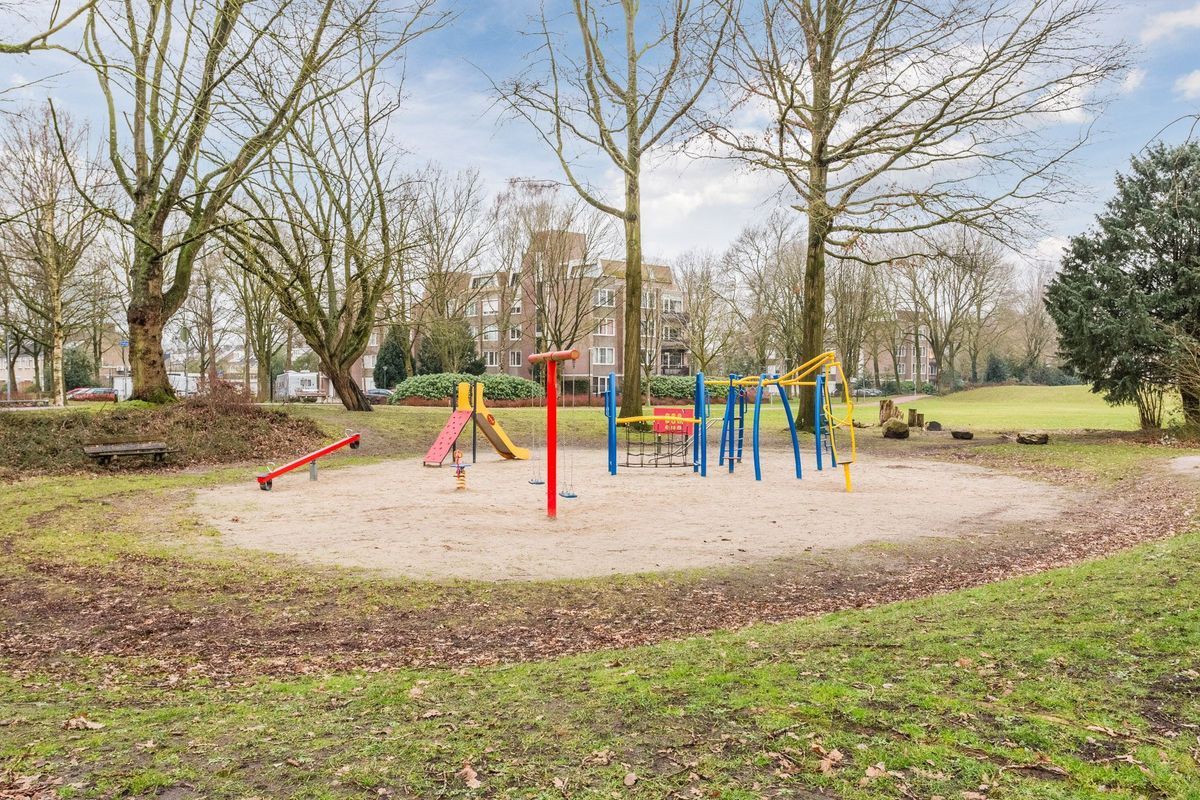 Jonkheer 49 Photo Blur 65