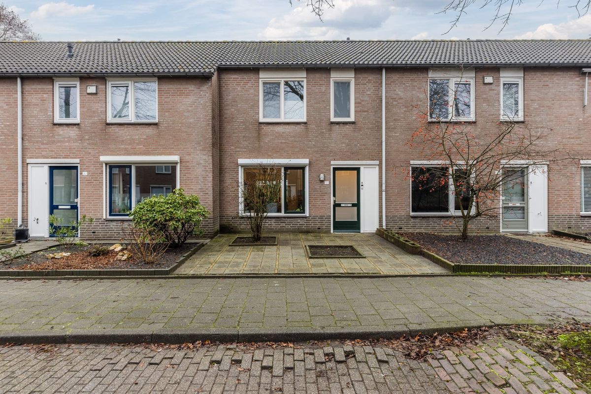 Zaaren 191 Photo Blur 32