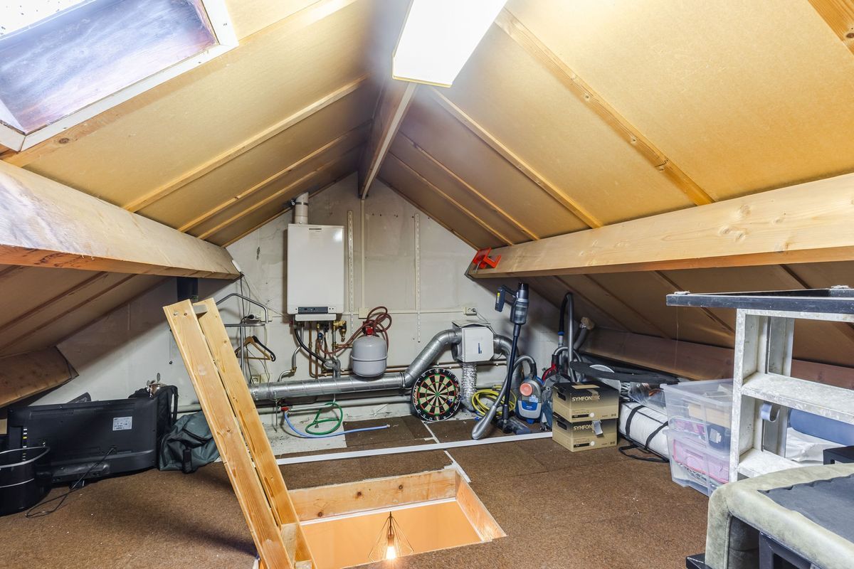 Zaaren 191 Photo Blur 27