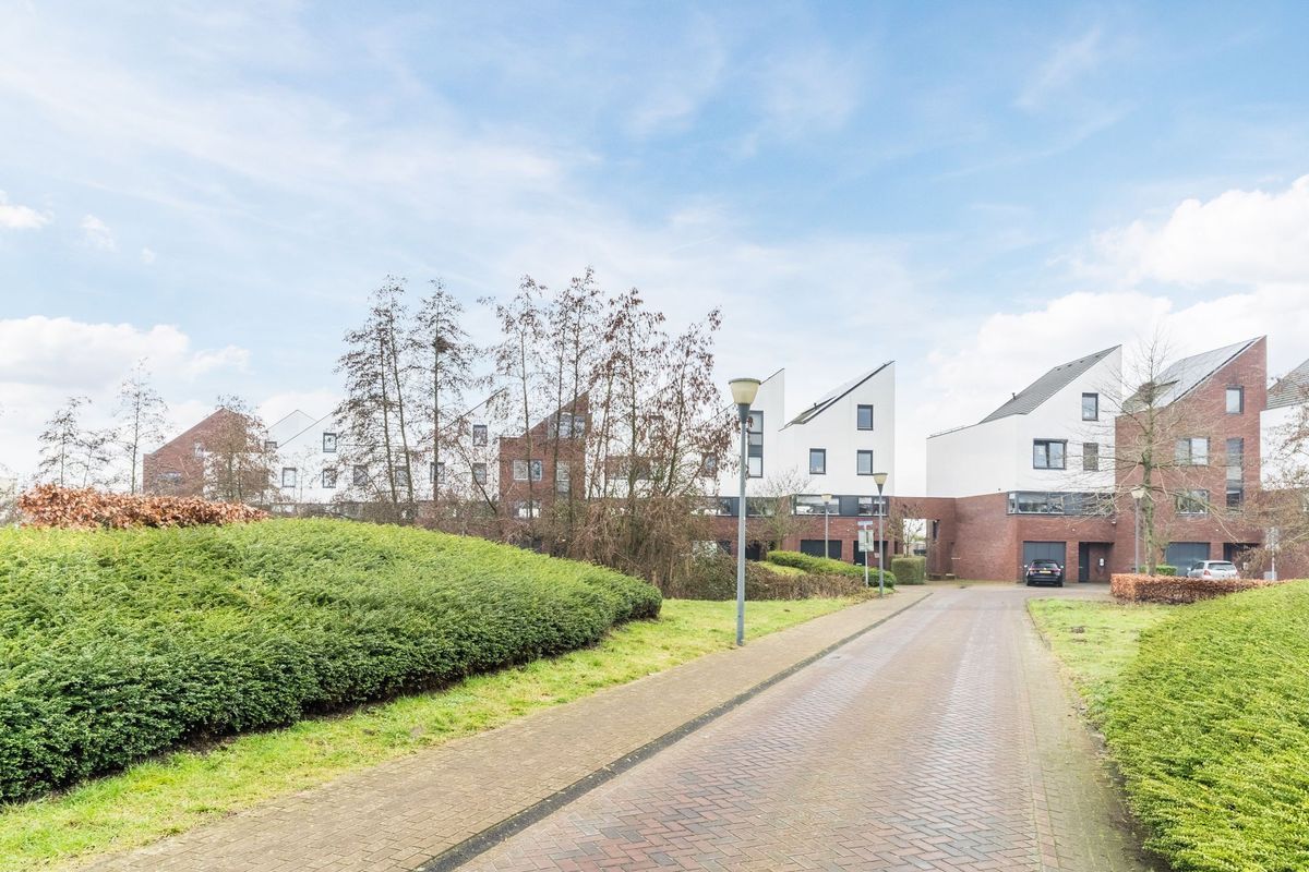 De Terpen 5 Photo Blur 68