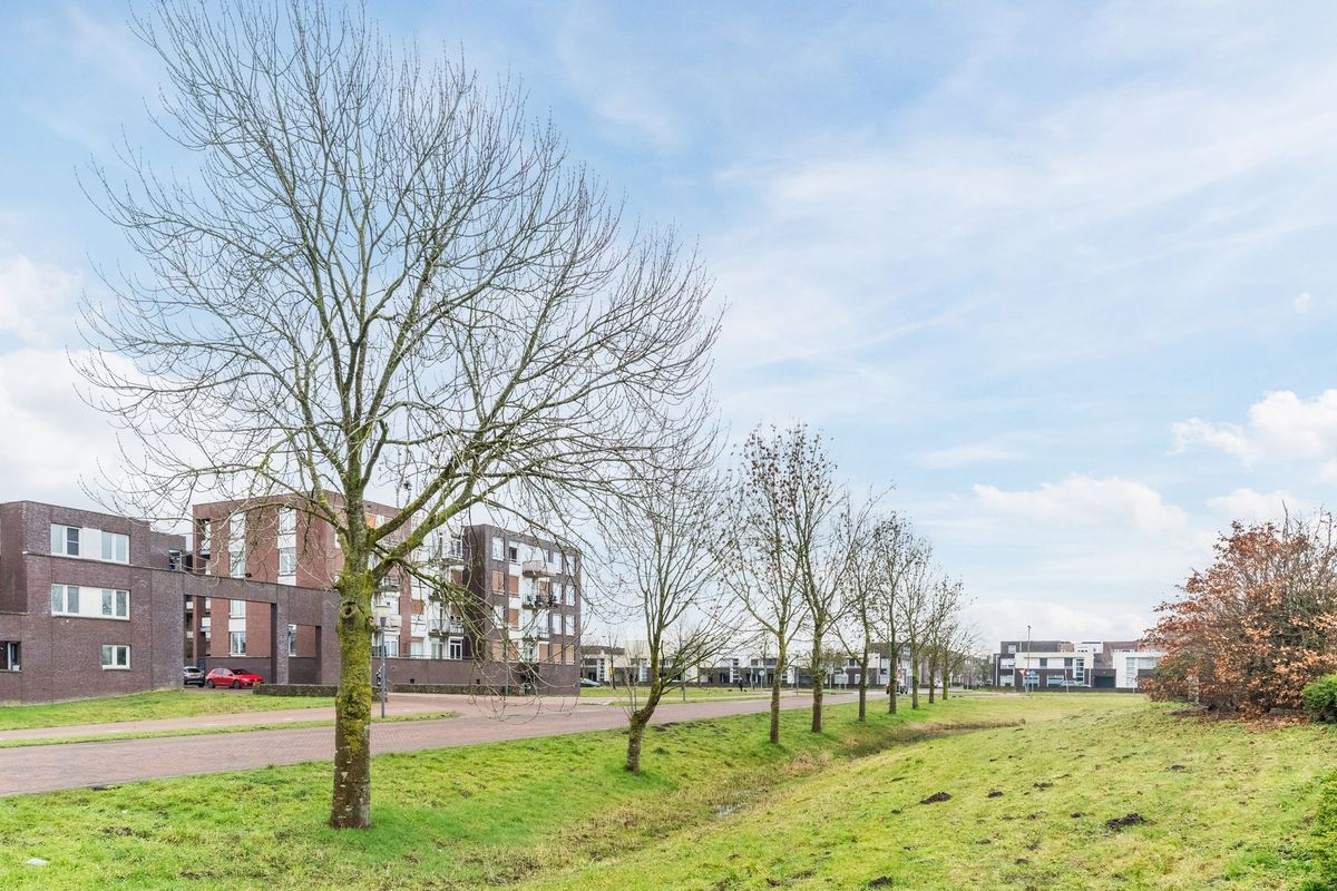 De Terpen 5 Photo Blur 69