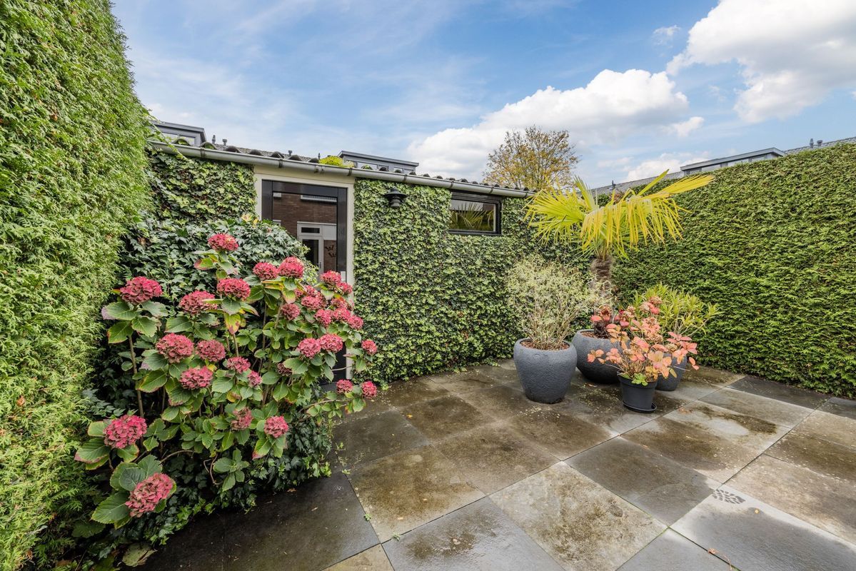 Van Tetterodestraat 71 Photo Blur 31