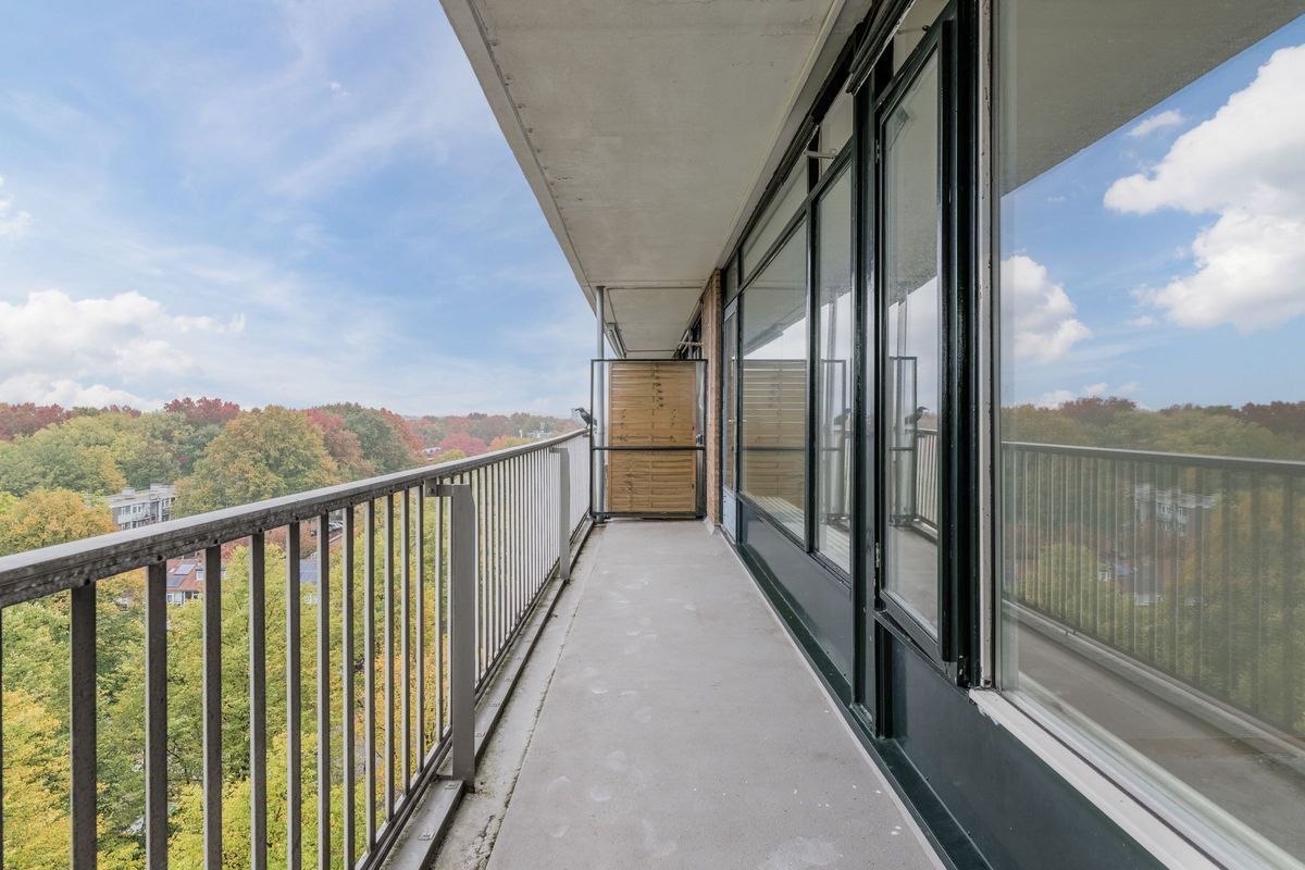 Postelse Hoeflaan 206 Photo Blur 13