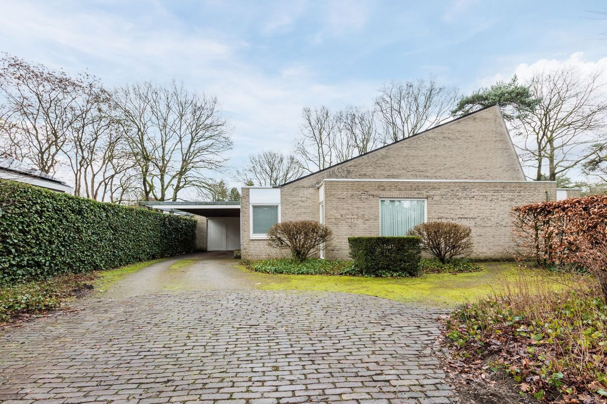 Atalanta 30 Photo Blur 51