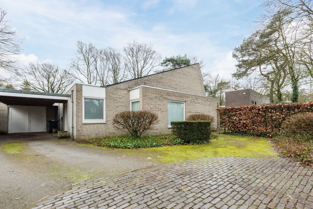 Atalanta 30 Photo Blur 52