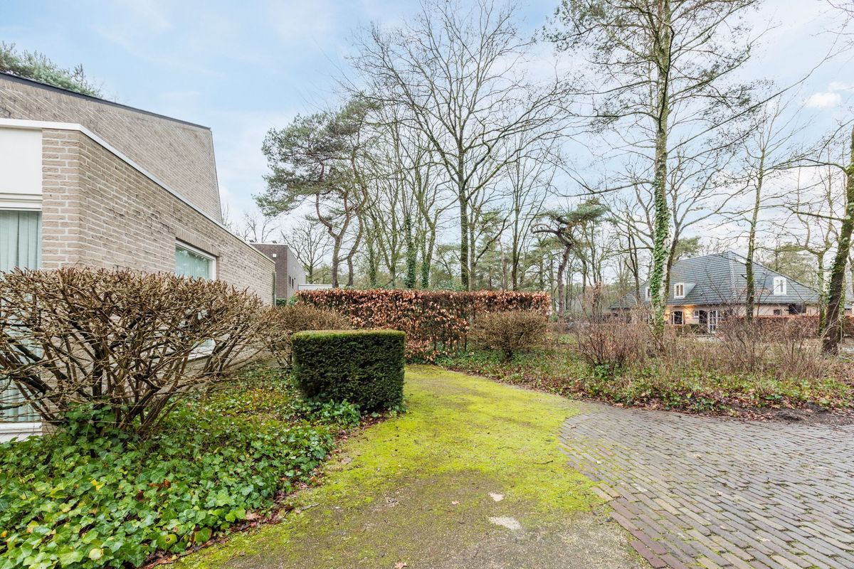 Atalanta 30 Photo Blur 53