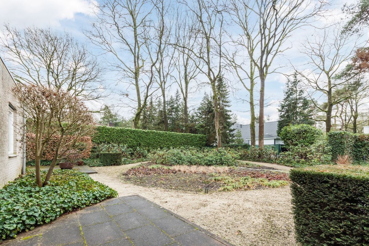 Atalanta 30 Photo Blur 39