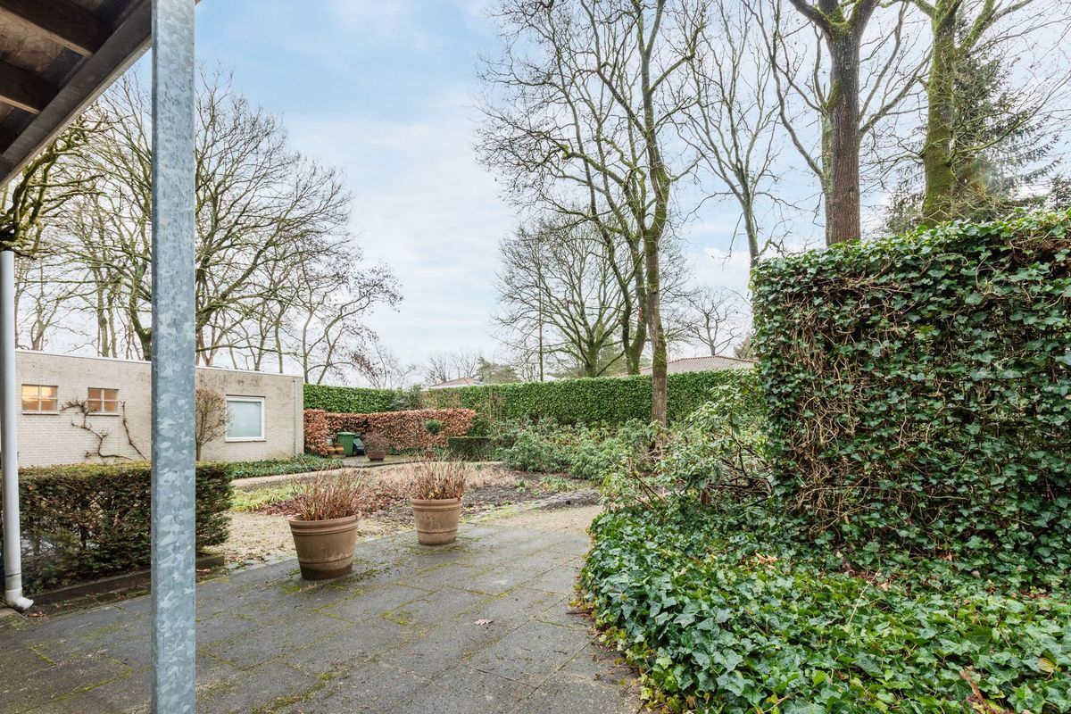 Atalanta 30 Photo Blur 38