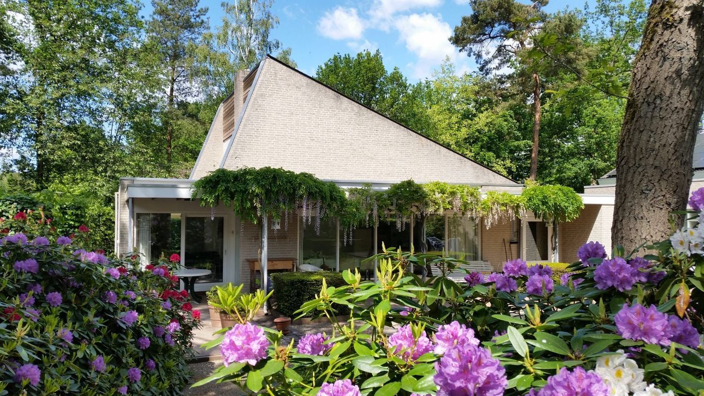 Atalanta 30 Photo Blur 1