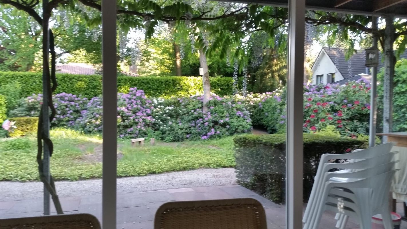 Atalanta 30 Photo Blur 36