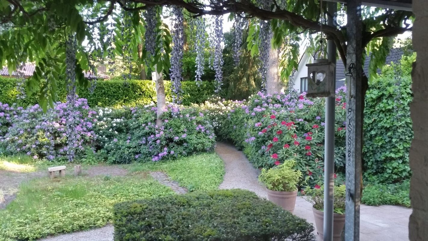 Atalanta 30 Photo Blur 35