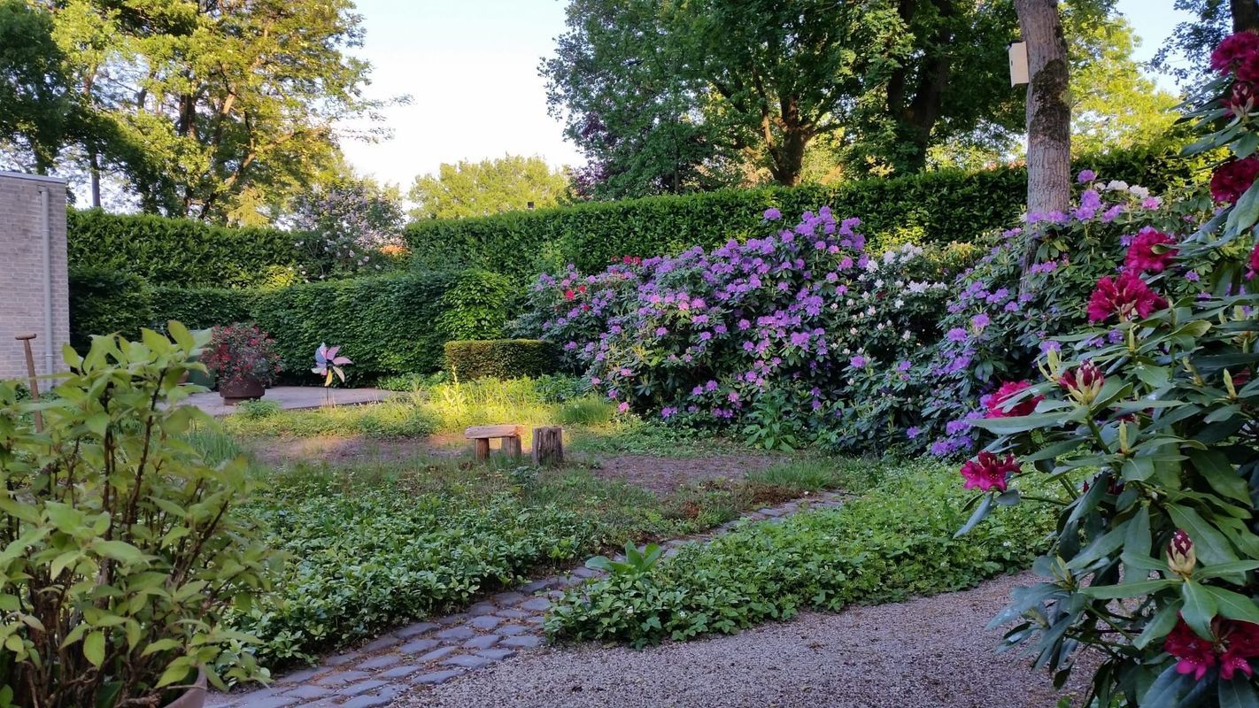 Atalanta 30 Photo Blur 34