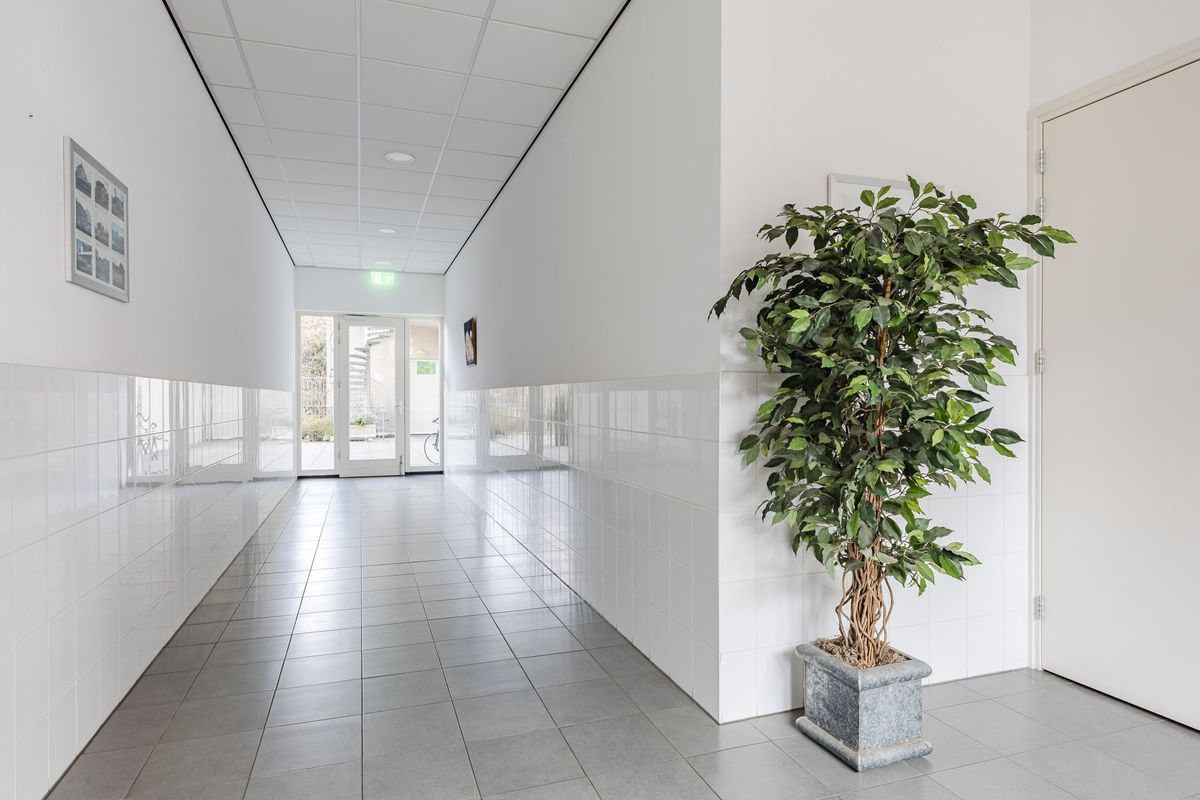 Hoge Ham 95 - N Photo Blur 6