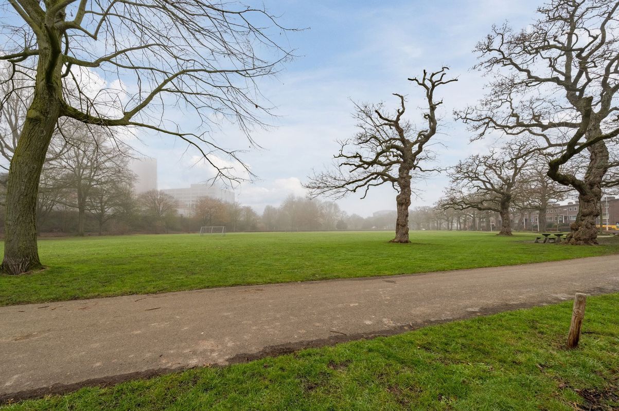 Lijmbeekstraat 146 Photo Blur 54