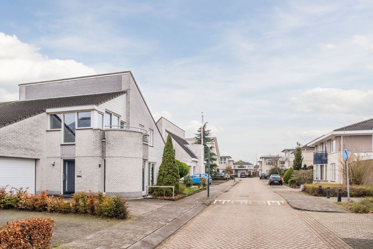 Nimrodel 17 Photo Blur 6