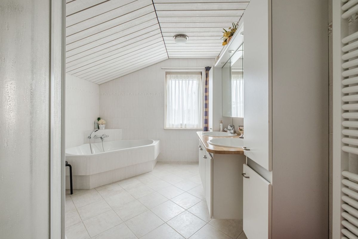 Nimrodel 17 Photo Blur 33