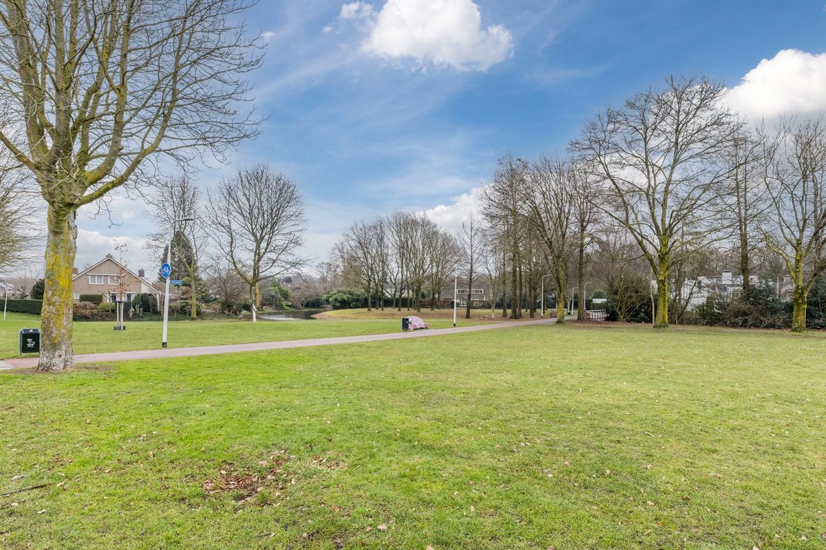 Beeklaan 170 Photo Blur 28