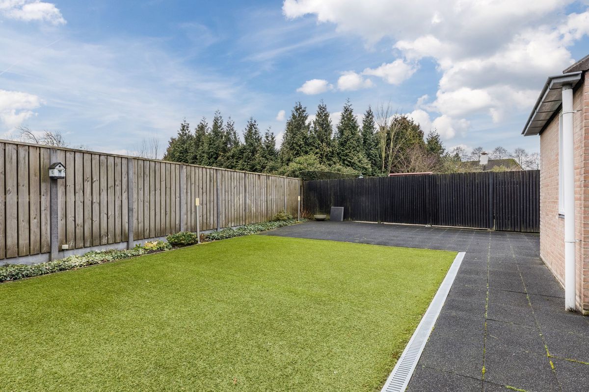 Beeklaan 170 Photo Blur 22