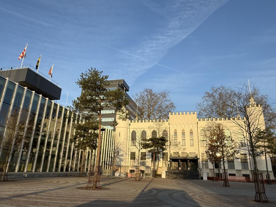 Bisschop Zwijsenstraat 29 - a Photo Blur 34