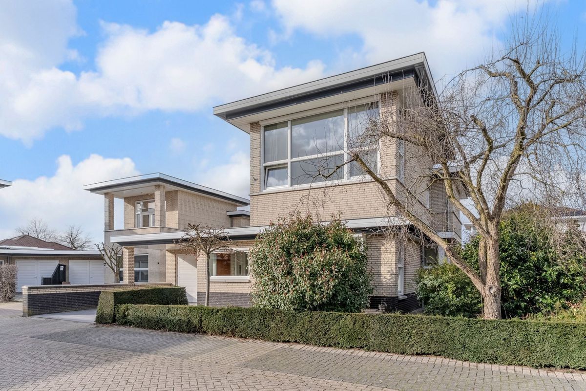 Nimrodel 22 Photo Blur 3