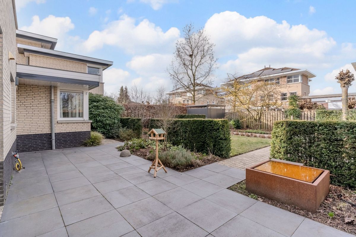 Nimrodel 22 Photo Blur 56