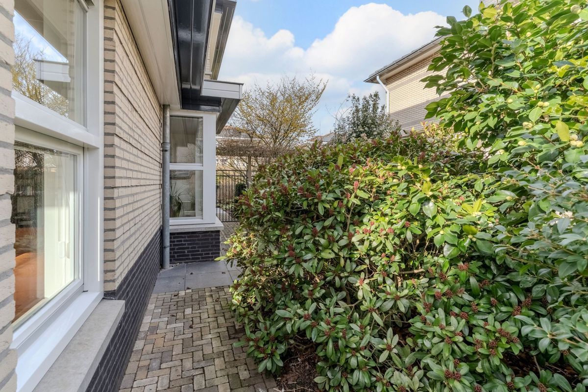 Nimrodel 22 Photo Blur 59