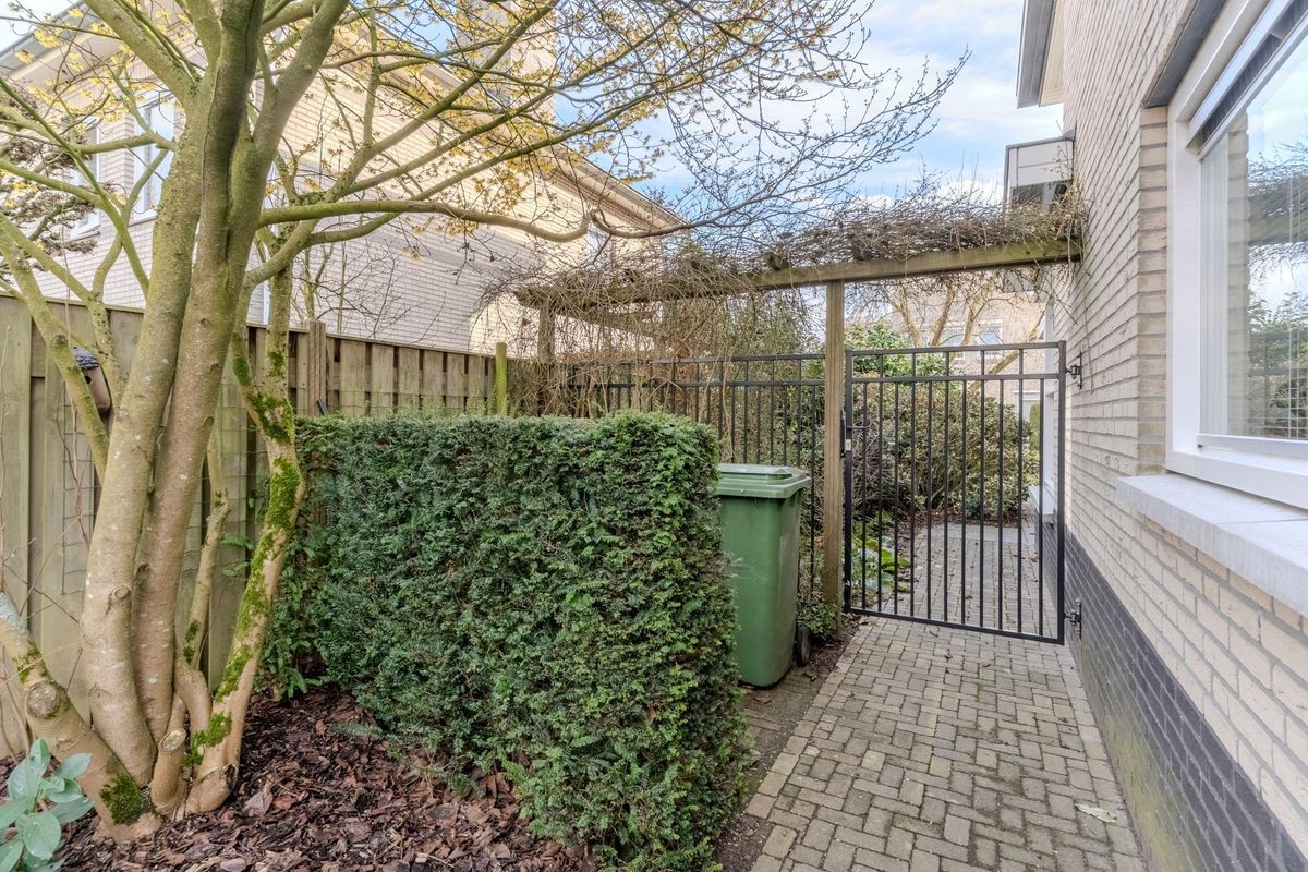 Nimrodel 22 Photo Blur 58