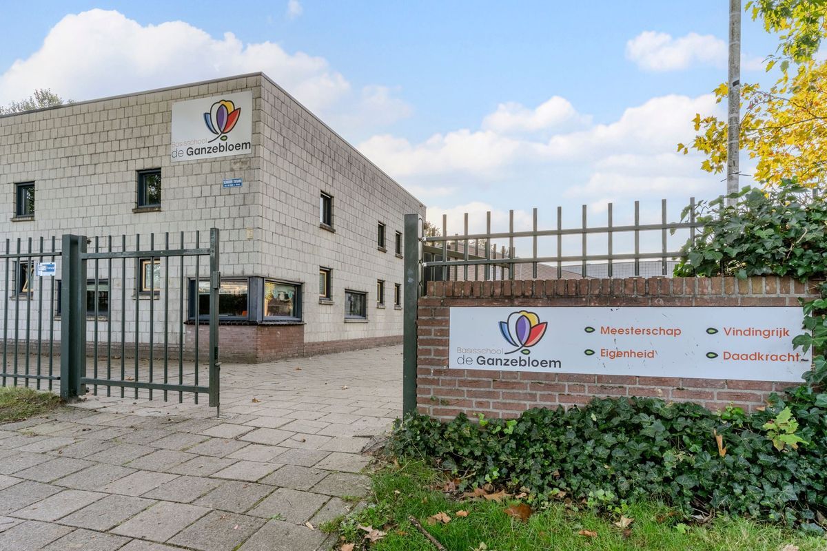 Nimrodel 22 Photo Blur 64