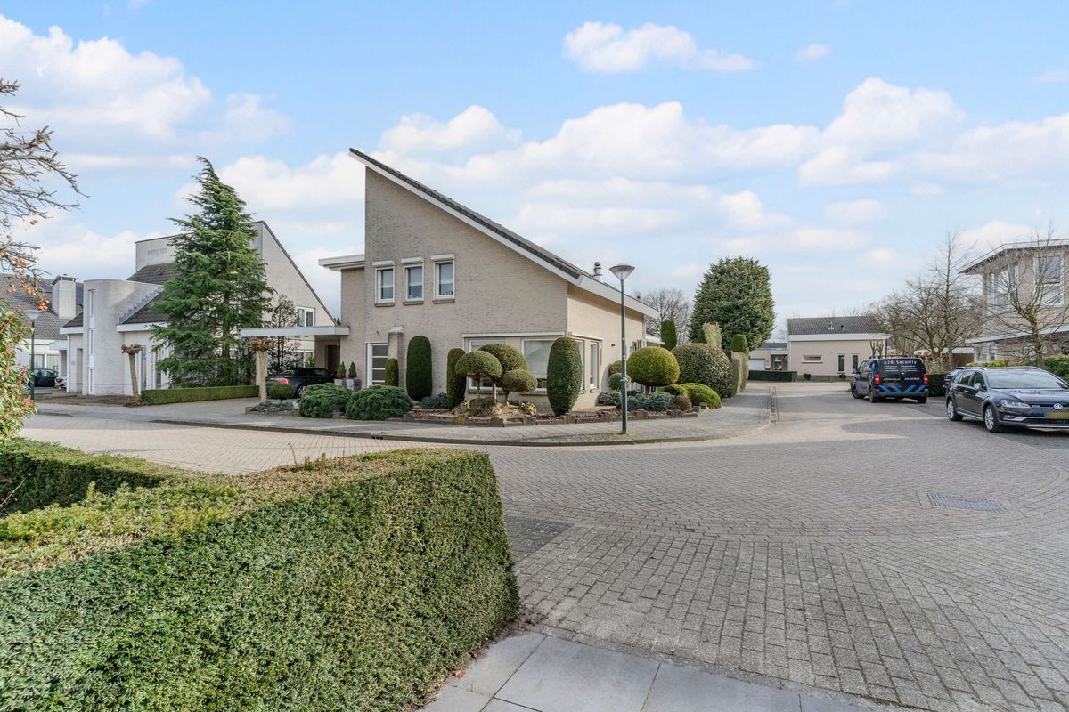 Nimrodel 22 Photo Blur 63