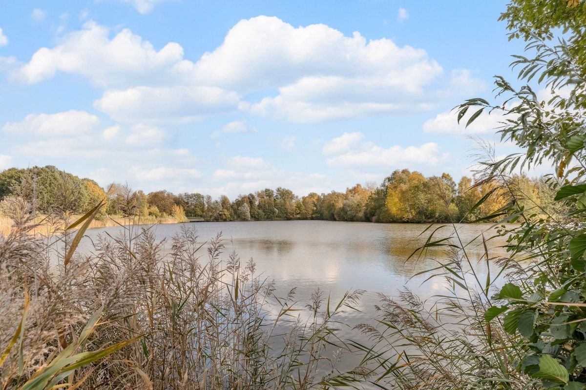 Nimrodel 22 Photo Blur 67