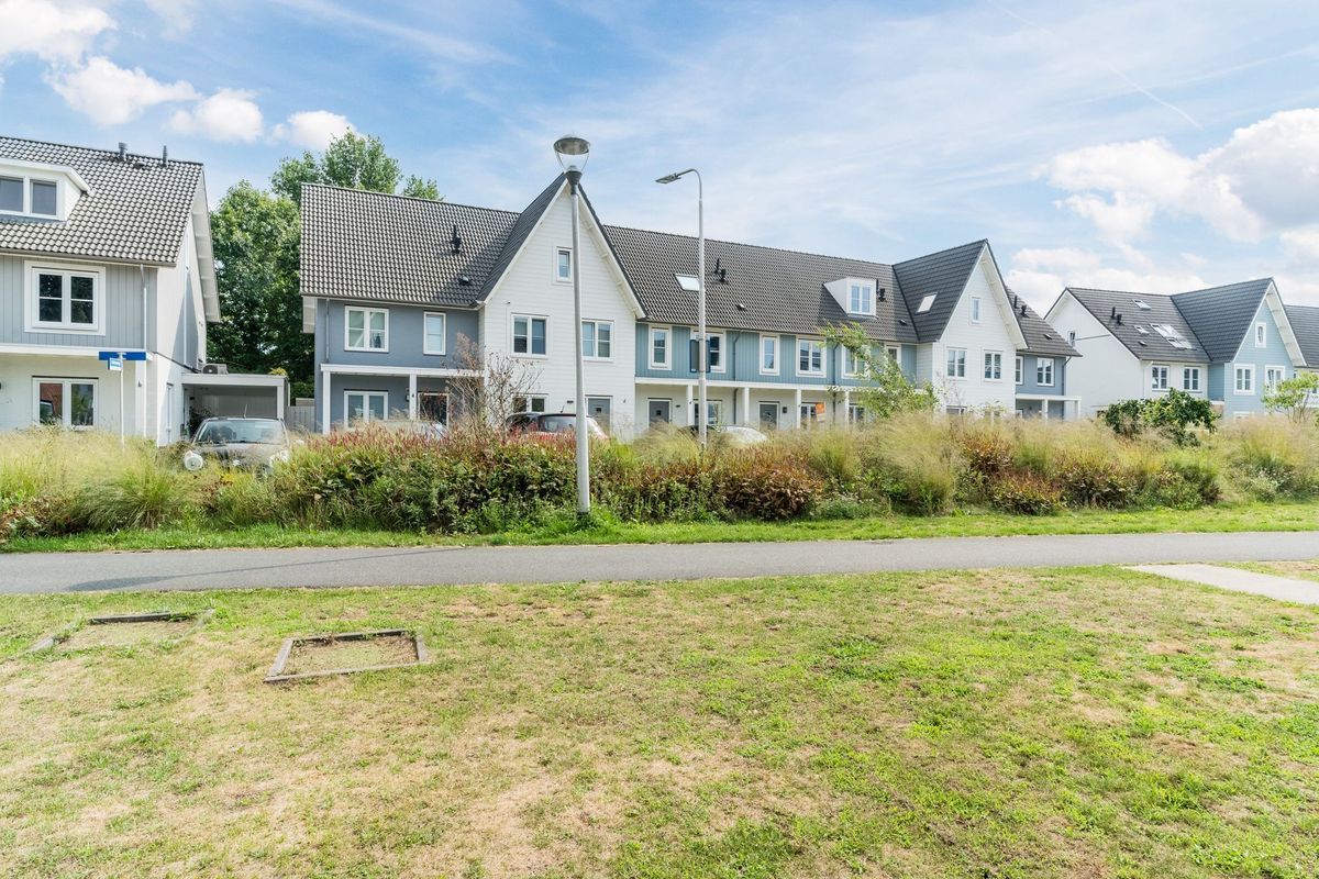 Pindosstraat 1 Photo Blur 45