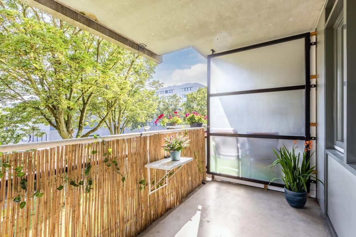 Boksdoornerf 98 Photo Blur 9