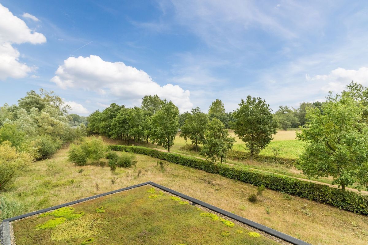 Hoge Wal 49 - 05 Photo Blur 9