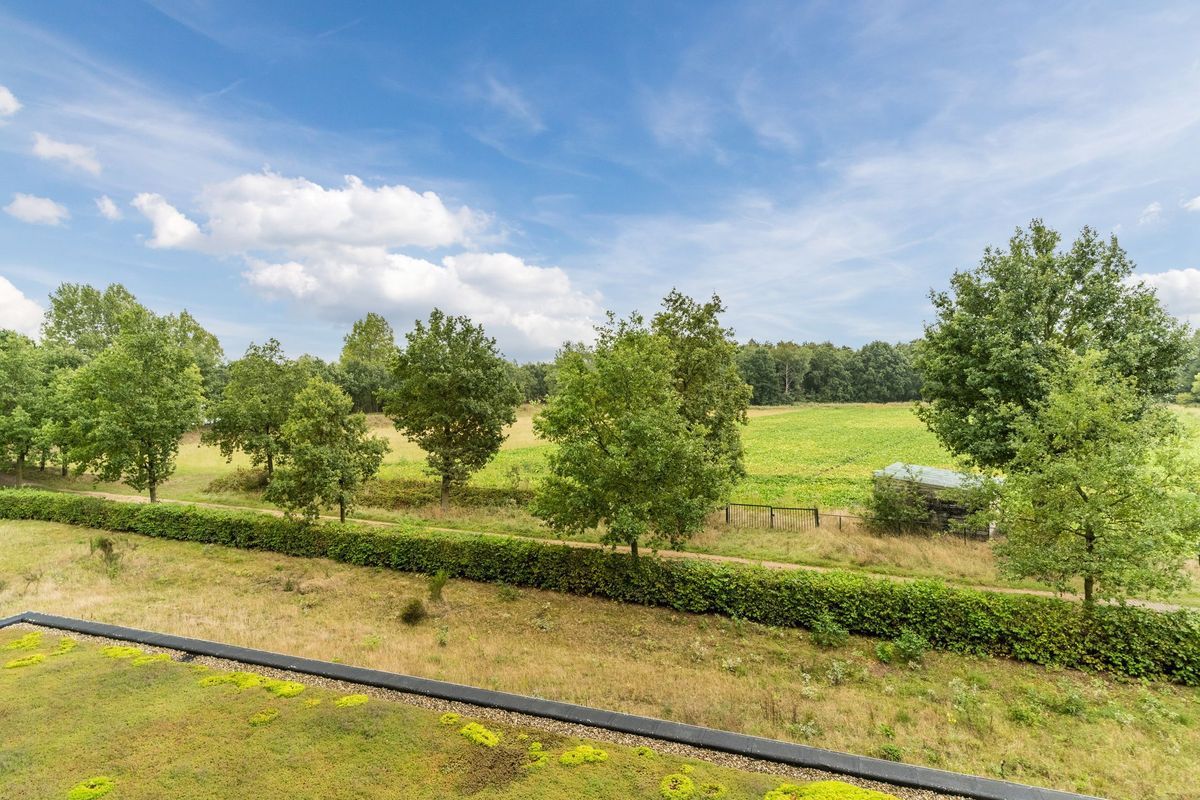 Hoge Wal 49 - 05 Photo Blur 8